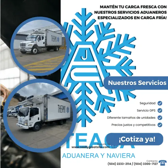 ¡Mantén tu carga fresca con nuestros servicios aduaneros especializados en carga fría!